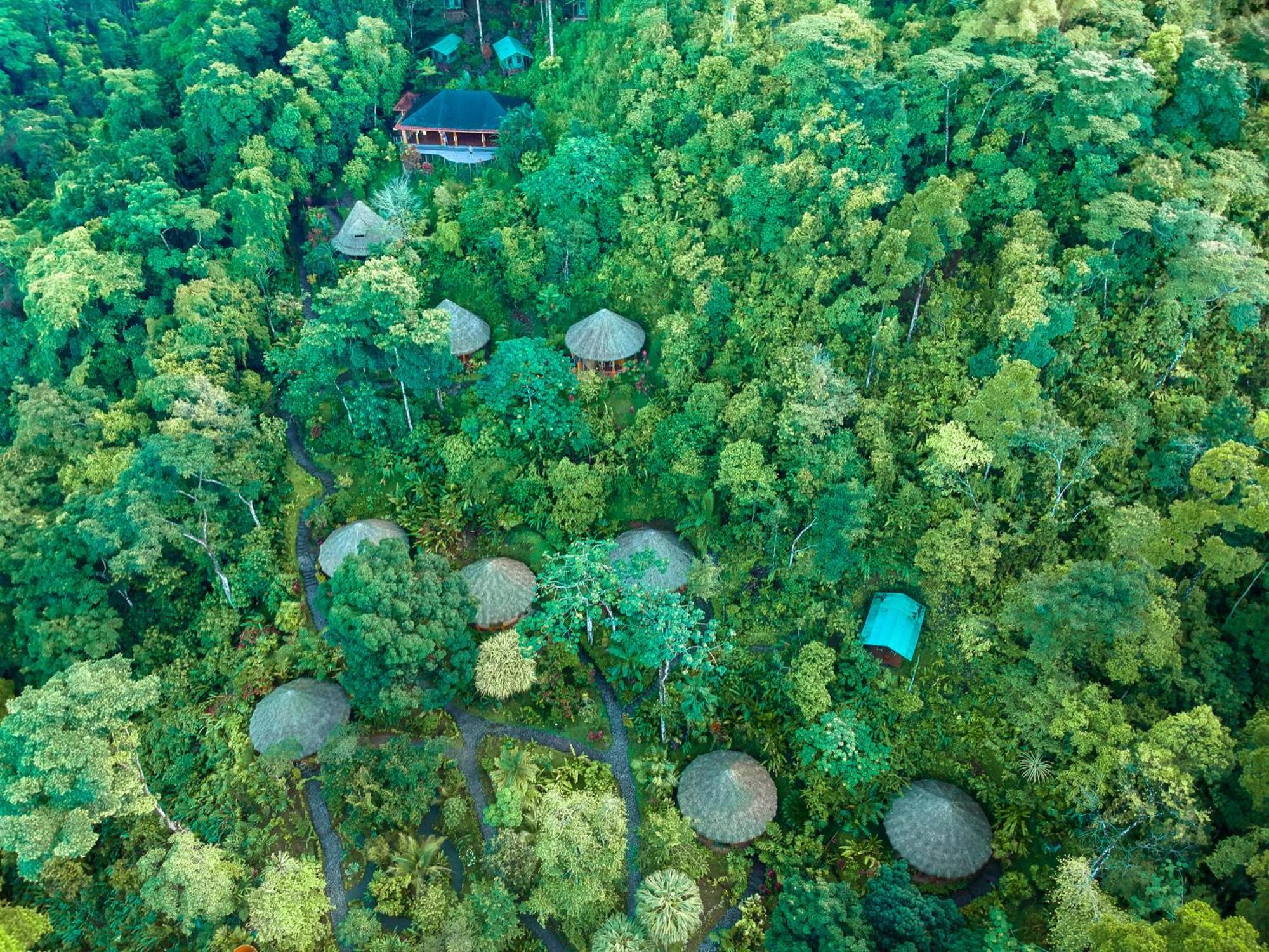 Luna Lodge Carate Eksteriør billede