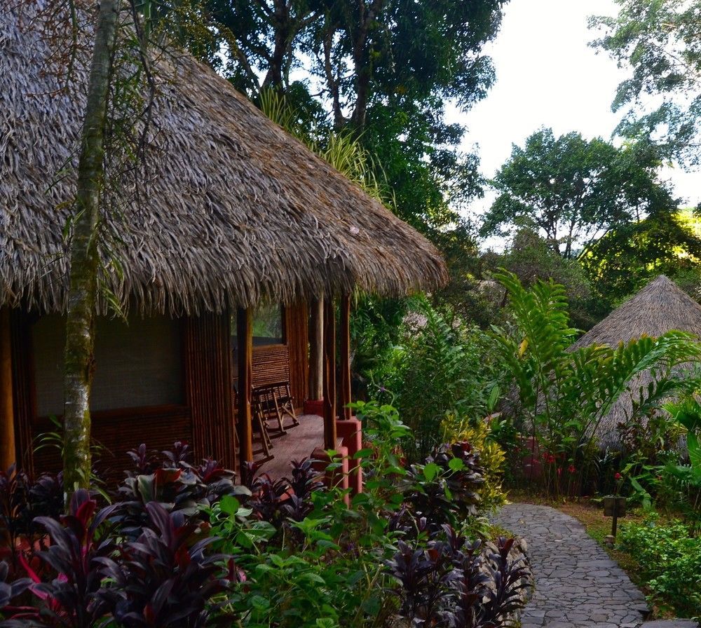 Luna Lodge Carate Eksteriør billede